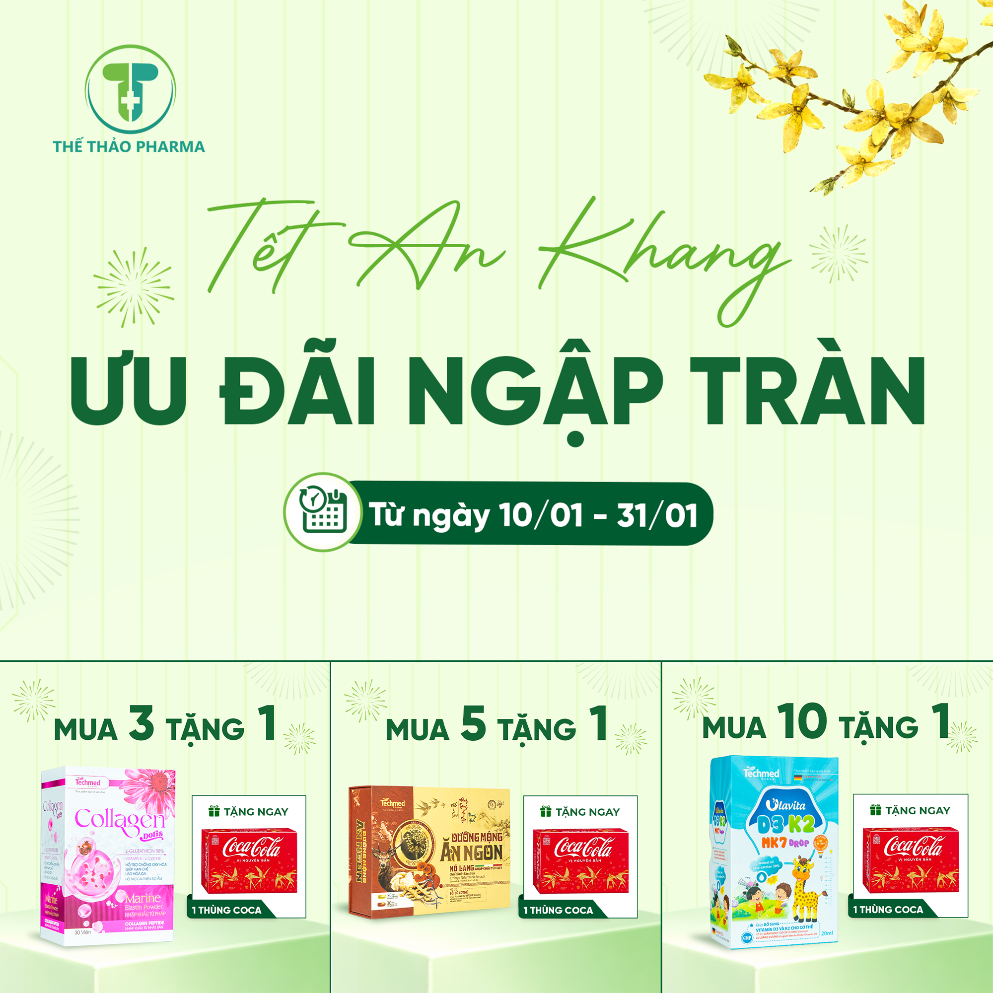 🎉 TẾT AN KHANG – ƯU ĐÃI NGẬP TRÀN 🎉